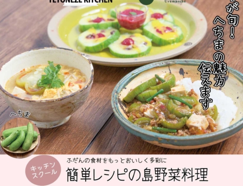 手登根節子の簡単レシピの島野菜料理（9/10開催）【へちま】