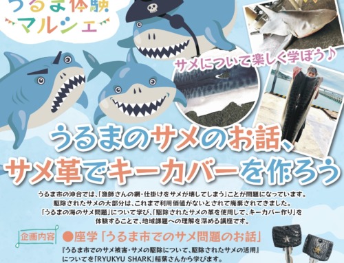 【10/2,10/9】うるまのサメのお話、サメ革でキーカバーを作ろう！