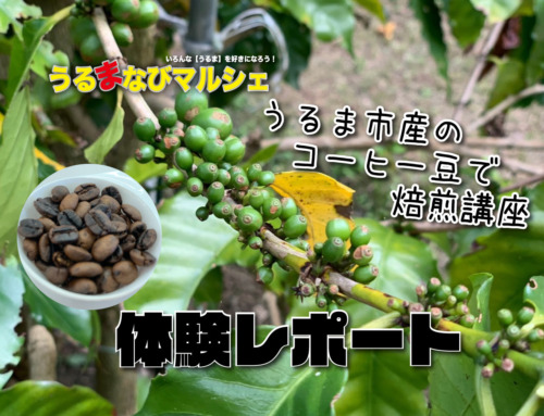【体験レポート♪】8/24にうるま市産のコーヒー豆を使った焙煎講座を実施しました♪