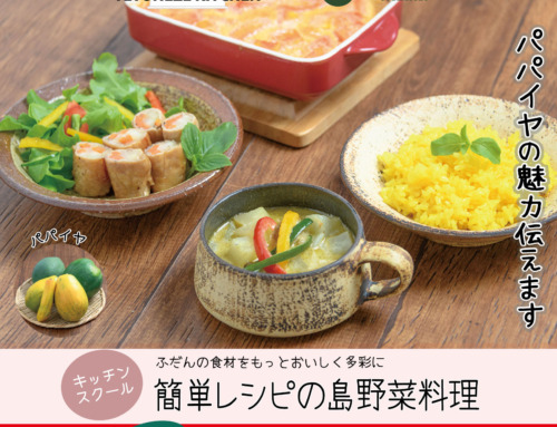 手登根節子の簡単レシピの島野菜料理（10/8開催）【パパイヤ】
