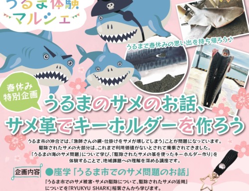 【03/26】うるまのサメのお話、サメ革でキーホルダーを作ろう！