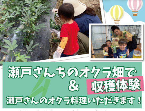 【参加者募集】瀬戸さんちのオクラ畑で収穫体験＆瀬戸さんのオクラ料理いただきます！