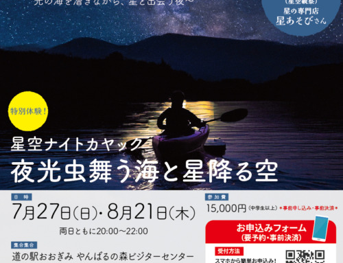 【星空ナイトカヤック】　夜光虫舞う海と星降る空